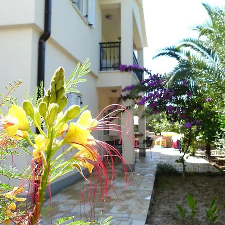 Apartman Ivankovic Trogir