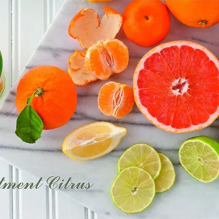 Apartamento Ivankovic