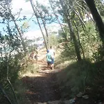 Ivankovic * 特罗吉尔