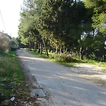 Ivankovic 特罗吉尔