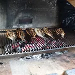 Ivankovic 特罗吉尔