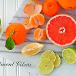 公寓 Ivankovic