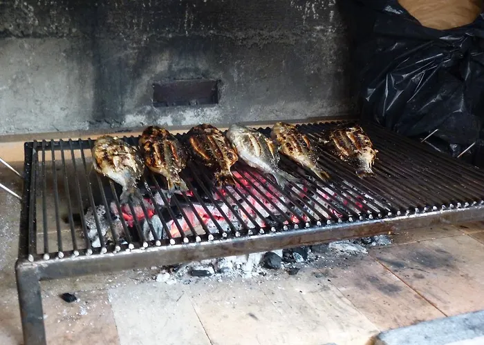 Ivankovic 트로기르